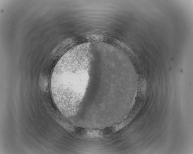 X0000086050709200704202036