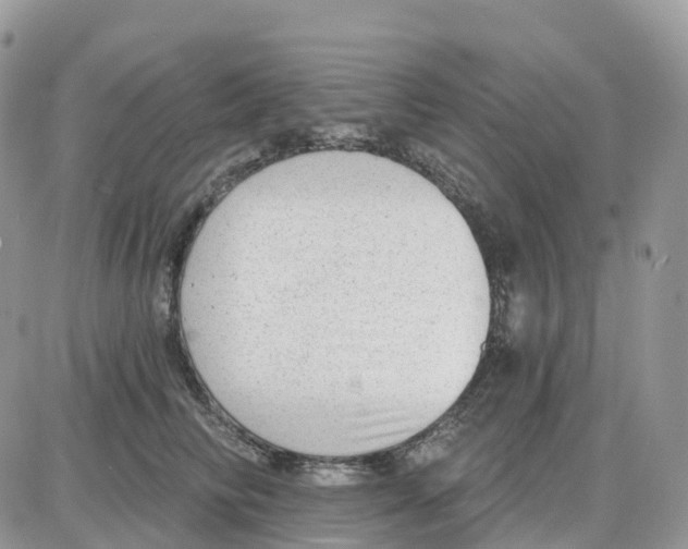 X0000086050710200704202036