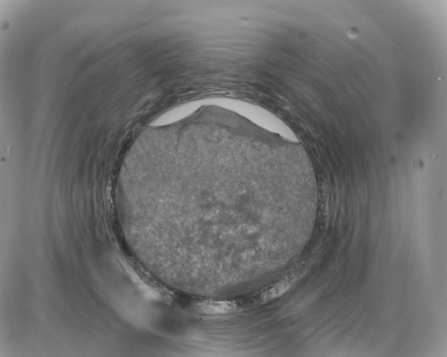 X0000086050711200704202036