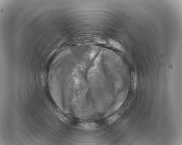 X0000086050712200704202036