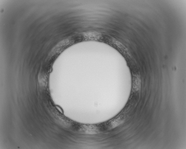 X0000086050713200704202036