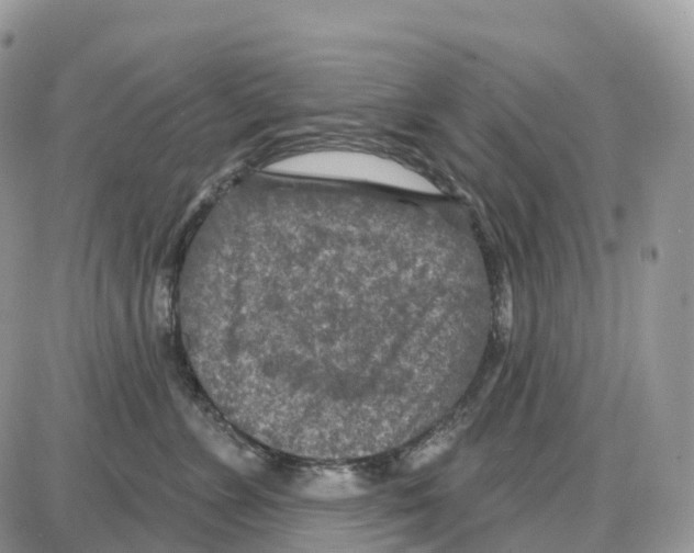 X0000086050715200704202036