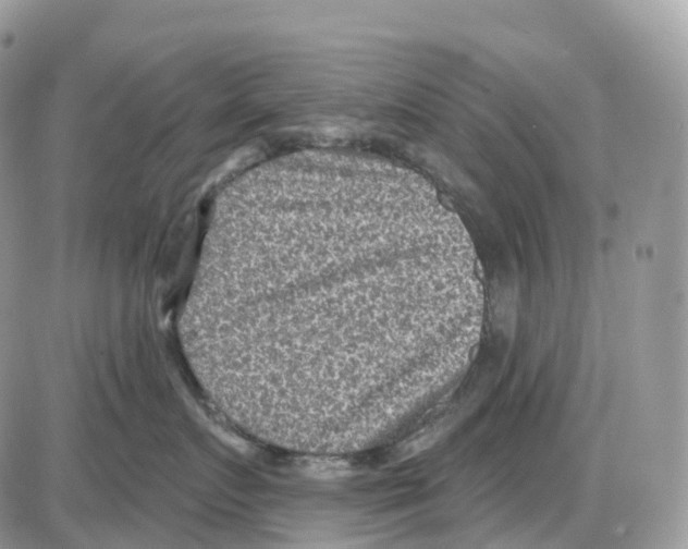 X0000086050719200704202036