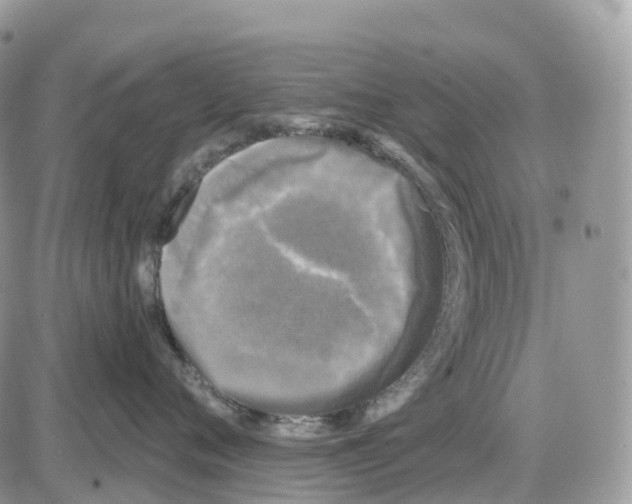 X0000086050720200704202036