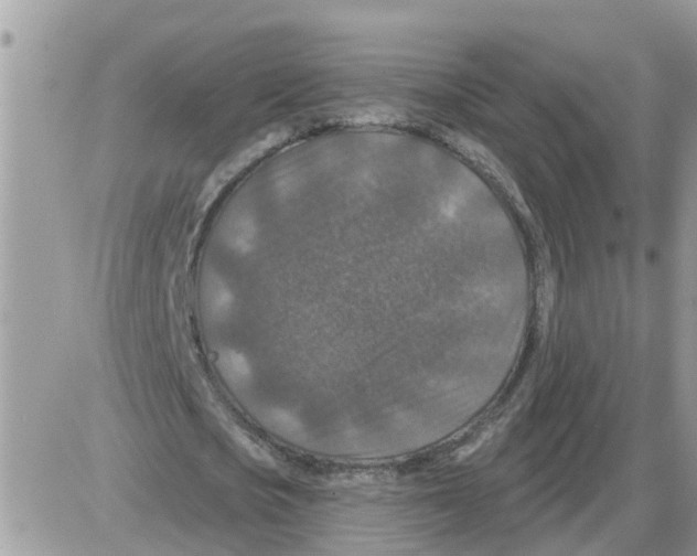 X0000086050721200704202035