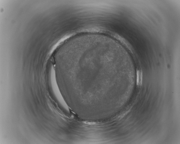 X0000086050723200704202035