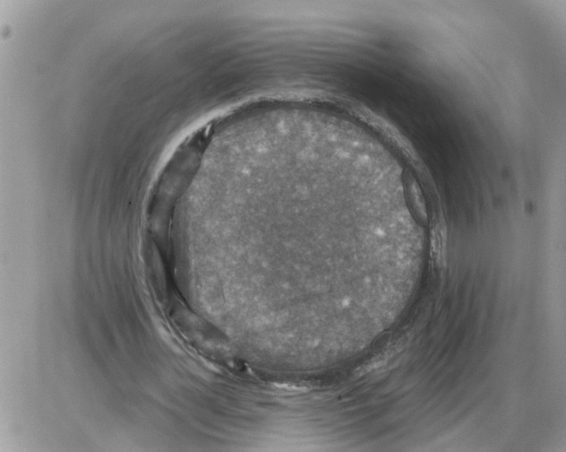 X0000086050724200704202035