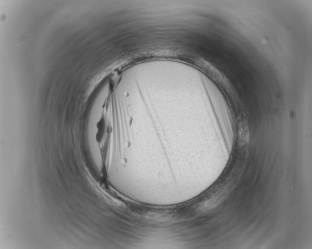 X0000086050725200704202035