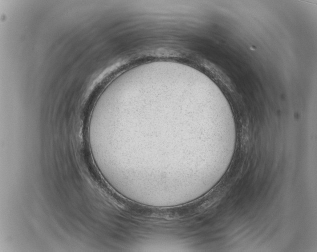 X0000086050727200704202035