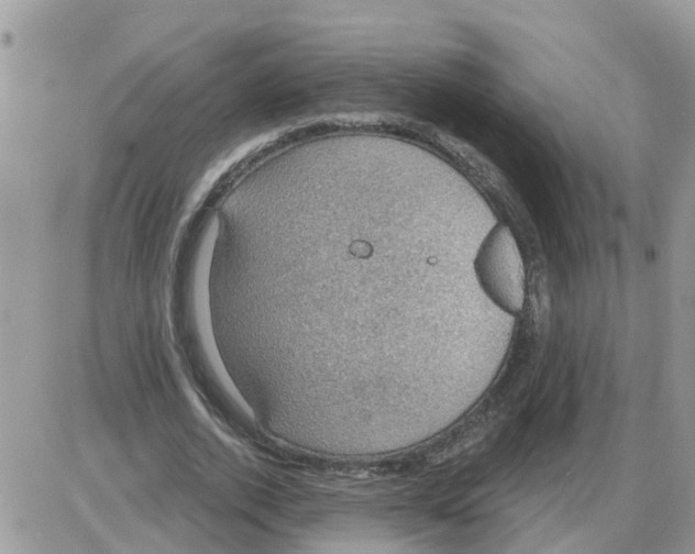 X0000086050728200704202035