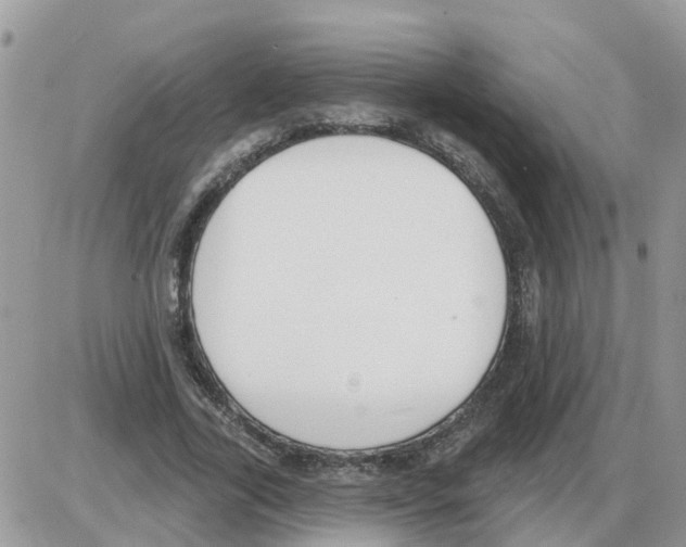 X0000086050731200704202035