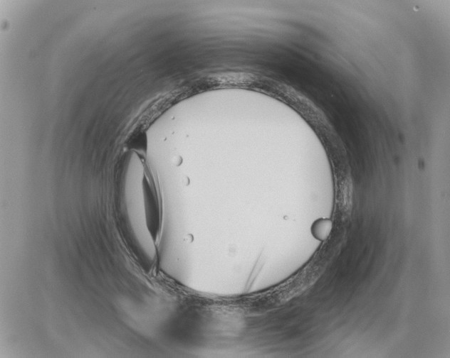 X0000086050733200704202035