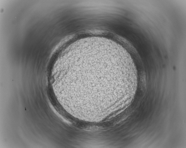 X0000086050734200704202035