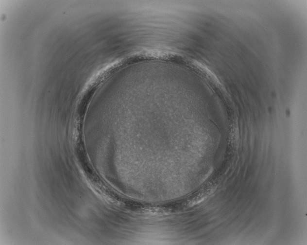 X0000086050736200704202035