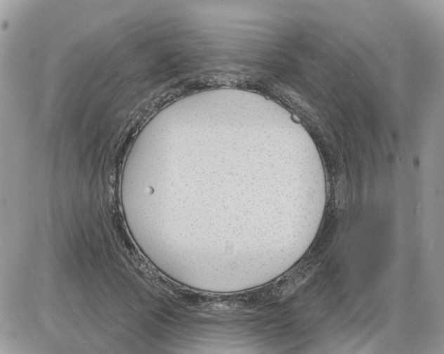 X0000086050737200704202035