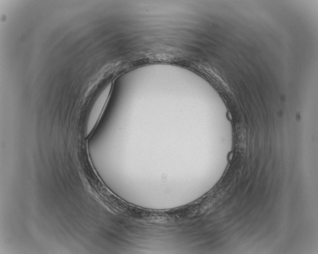 X0000086050738200704202035