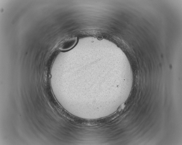 X0000086050739200704202035