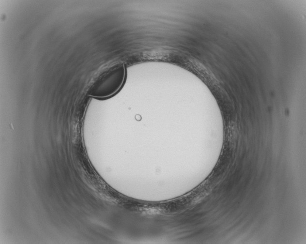 X0000086050741200704202035