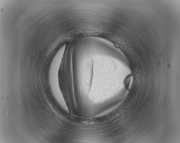 X0000086050742200704202035