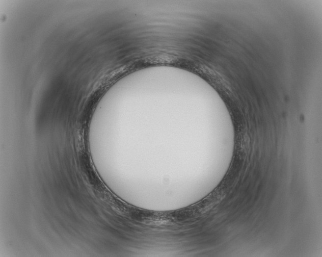 X0000086050743200704202035