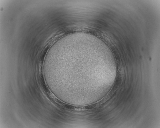 X0000086050744200704202035