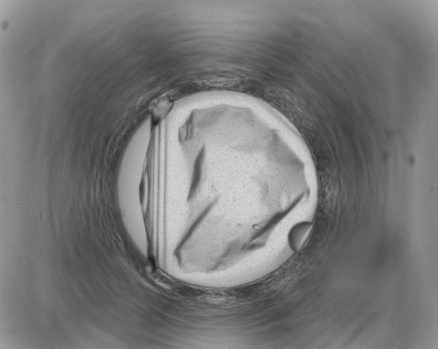 X0000086050745200704202035