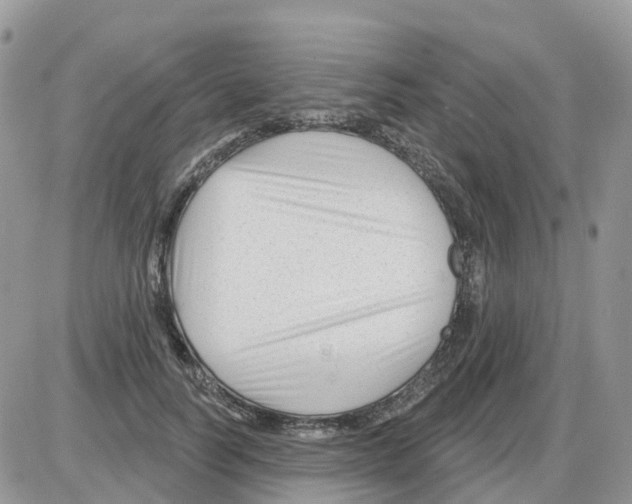 X0000086050746200704202035