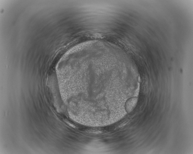 X0000086050747200704202035