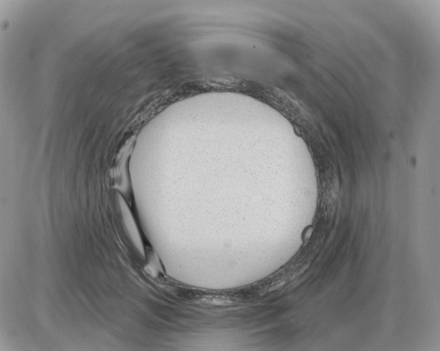 X0000086050749200704202035