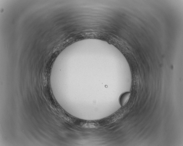 X0000086050751200704202035