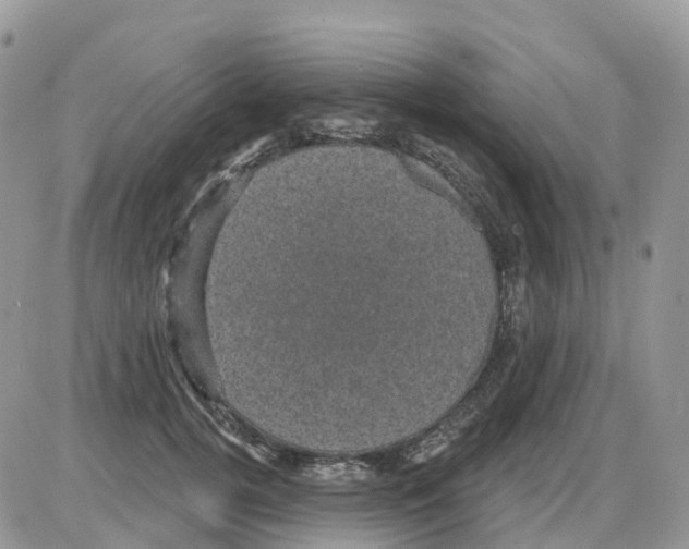 X0000086050752200704202035