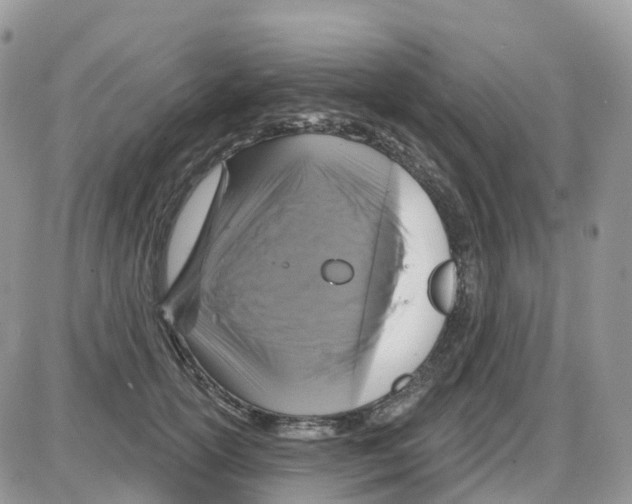 X0000086050754200704202036