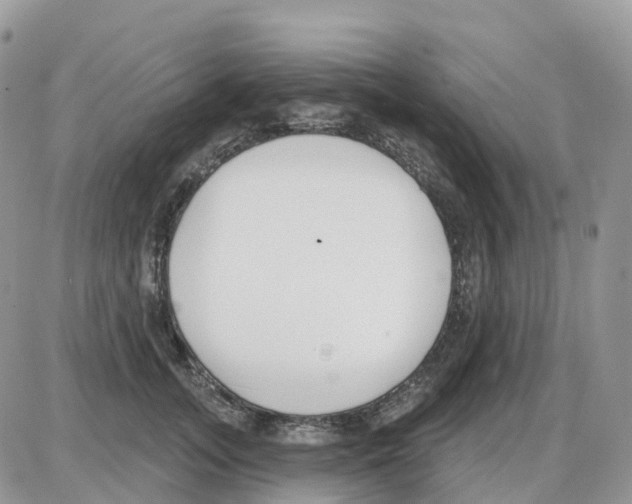 X0000086050755200704202036