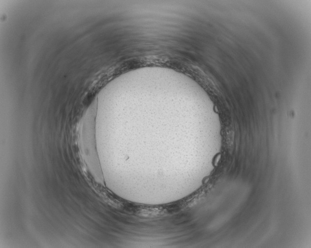 X0000086050757200704202036