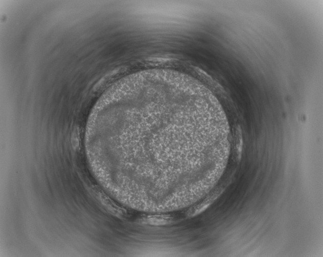 X0000086050758200704202036