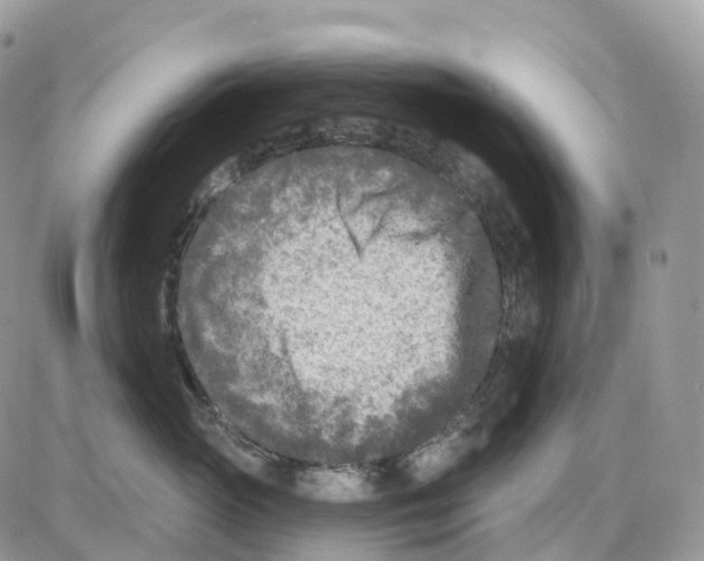 X0000086050765200704202036