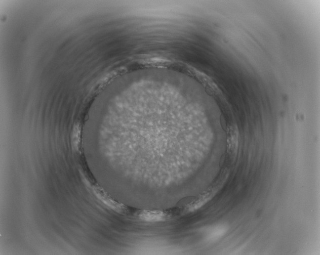 X0000086050767200704202036