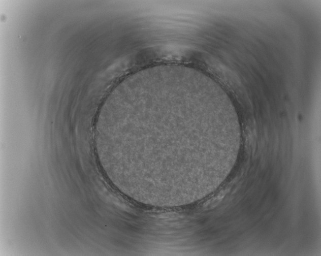 X0000086050769200704202035