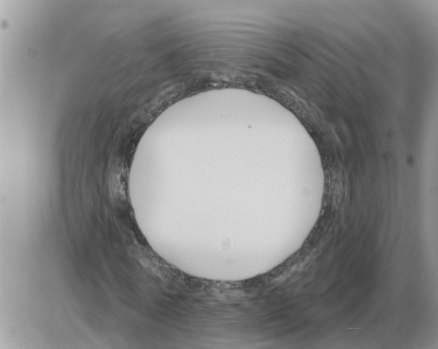 X0000086050770200704202035