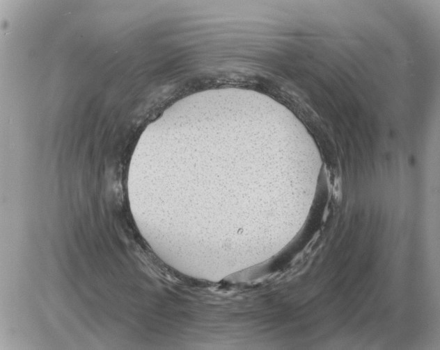 X0000086050771200704202035