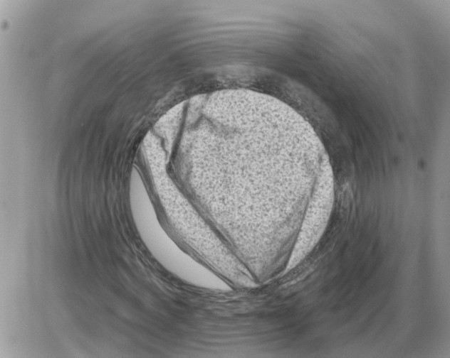 X0000086050772200704202035