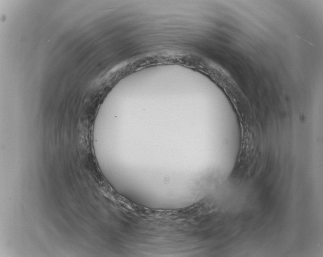 X0000086050773200704202035