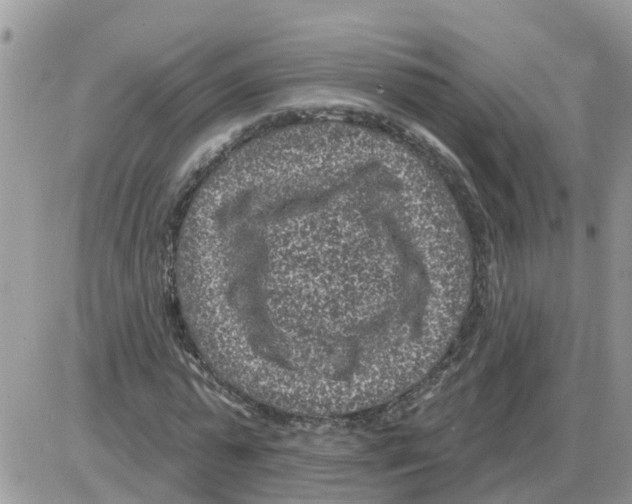 X0000086050775200704202035