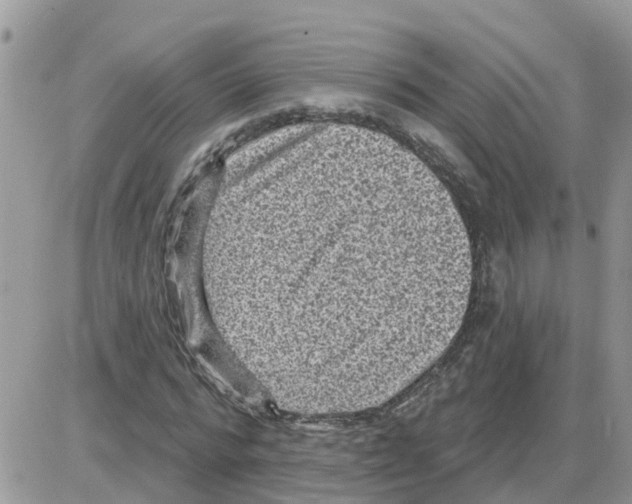 X0000086050776200704202035