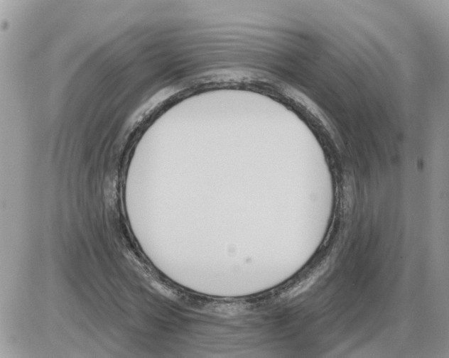 X0000086050778200704202035