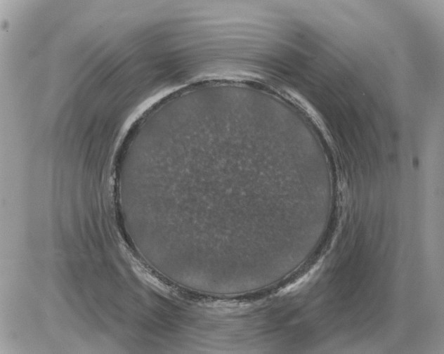 X0000086050779200704202035