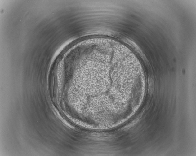 X0000086050780200704202035