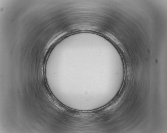 X0000086050782200704202035