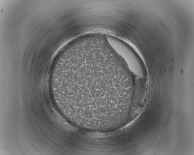 X0000086050783200704202035