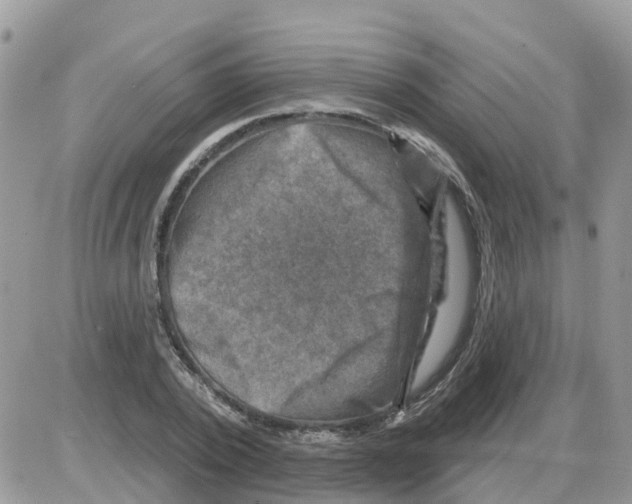 X0000086050784200704202035